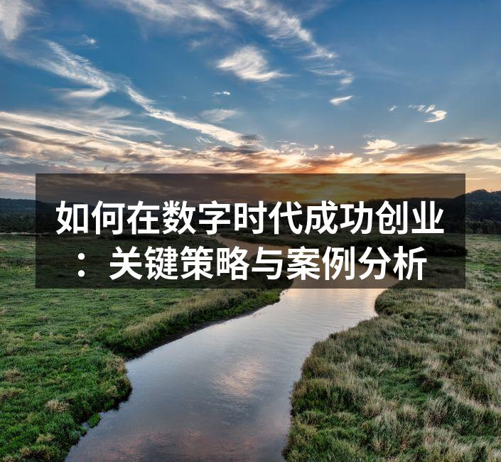 如何在数字时代成功创业：关键策略与案例分析