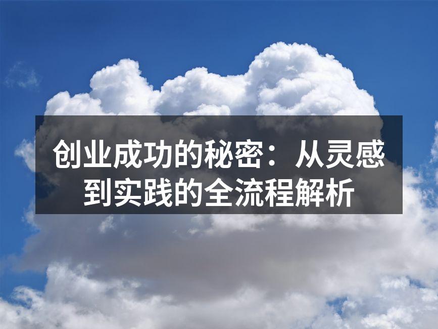 创业成功的秘密：从灵感到实践的全流程解析