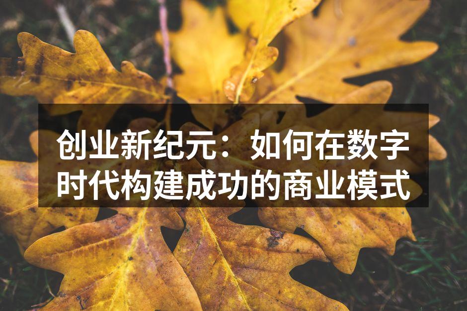 创业新纪元：如何在数字时代构建成功的商业模式