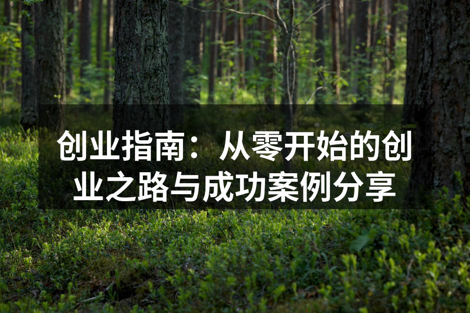 创业指南：从零开始的创业之路与成功案例分享